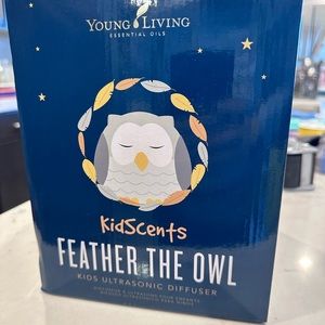 Brand new owl diffuser
